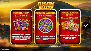 Bison Valley